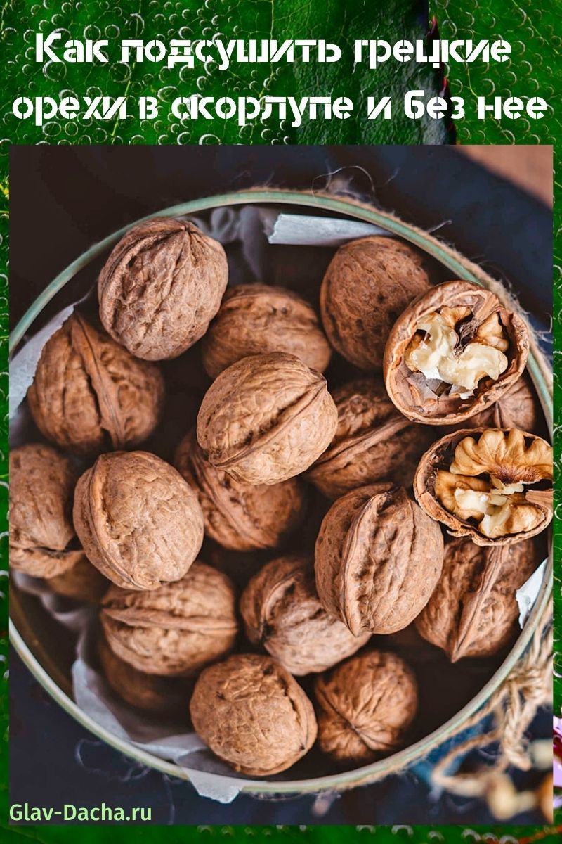 como secar nueces