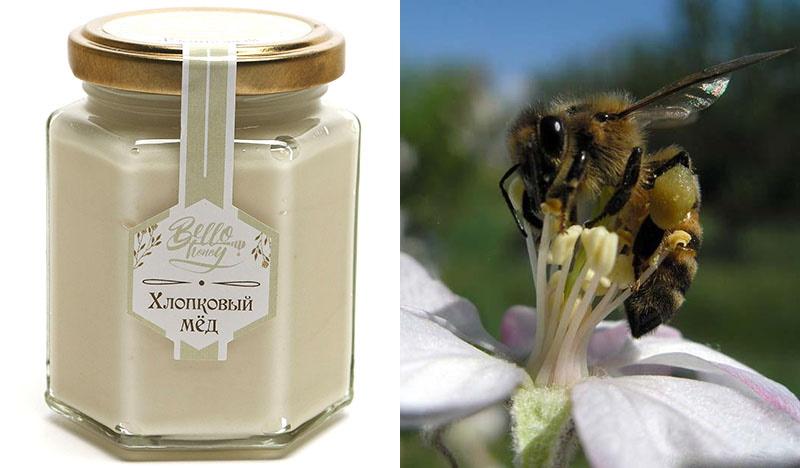 miel de algodon