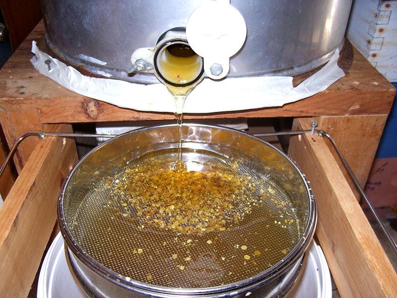 el extractor de miel está funcionando