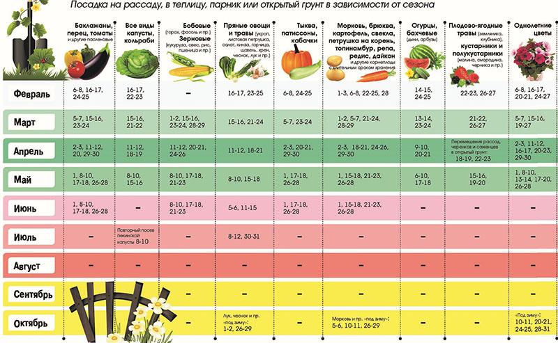 calendario lunar para residentes de verano