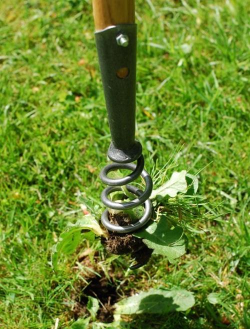 tire-bouchon extracteur de racines