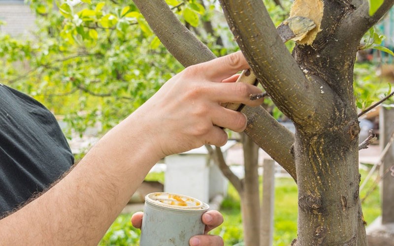 comment utiliser un emplacement de jardin