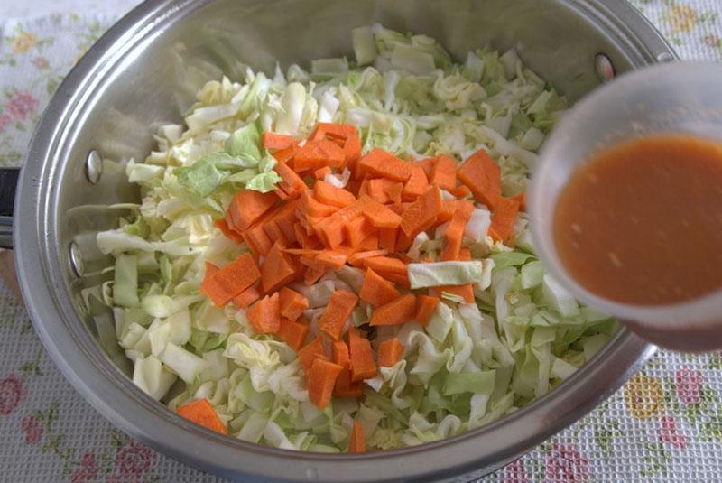ragoût de chou aux carottes