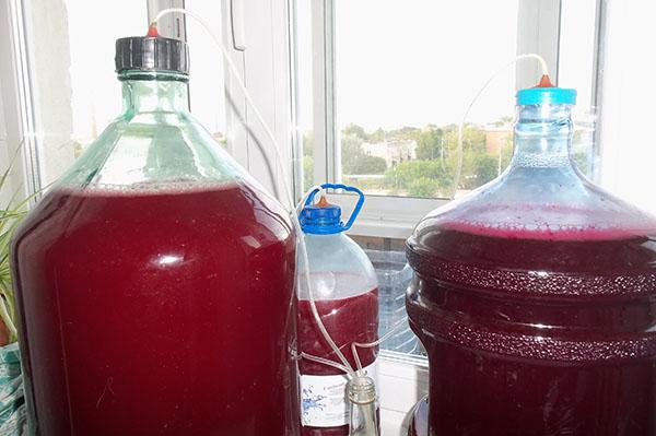 processus de fermentation du vin de framboise