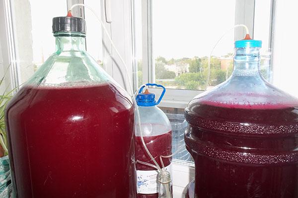 proceso de fermentación del vino de frambuesa