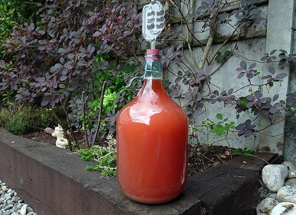 botella con sello de agua