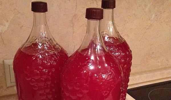 vino vertido en botellas