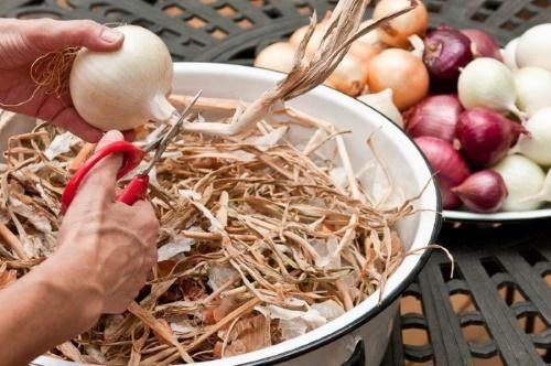 preparación de cebolla