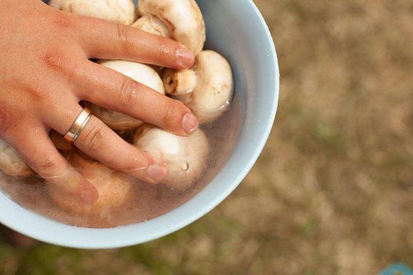 laver les champignons