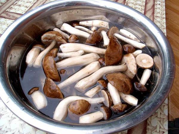 laver et faire bouillir les champignons