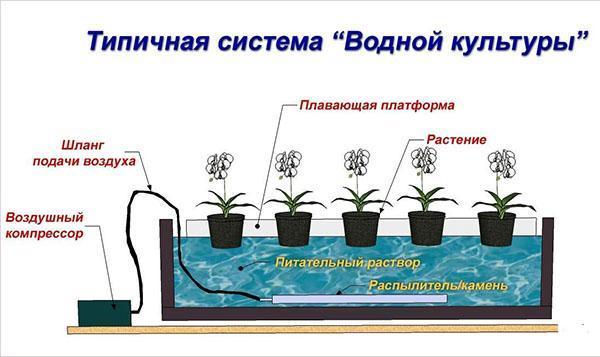 sistema hidropónico típico