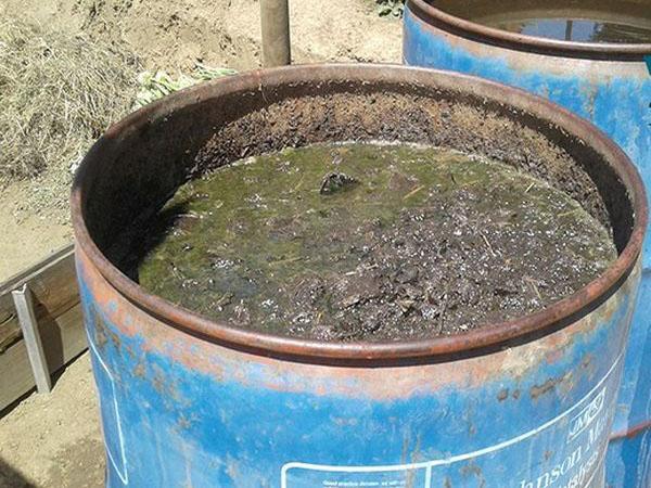 preparación de fertilizante líquido