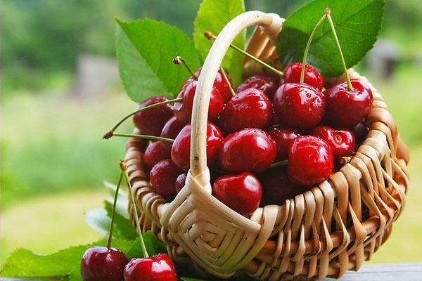consommation modérée de cerises