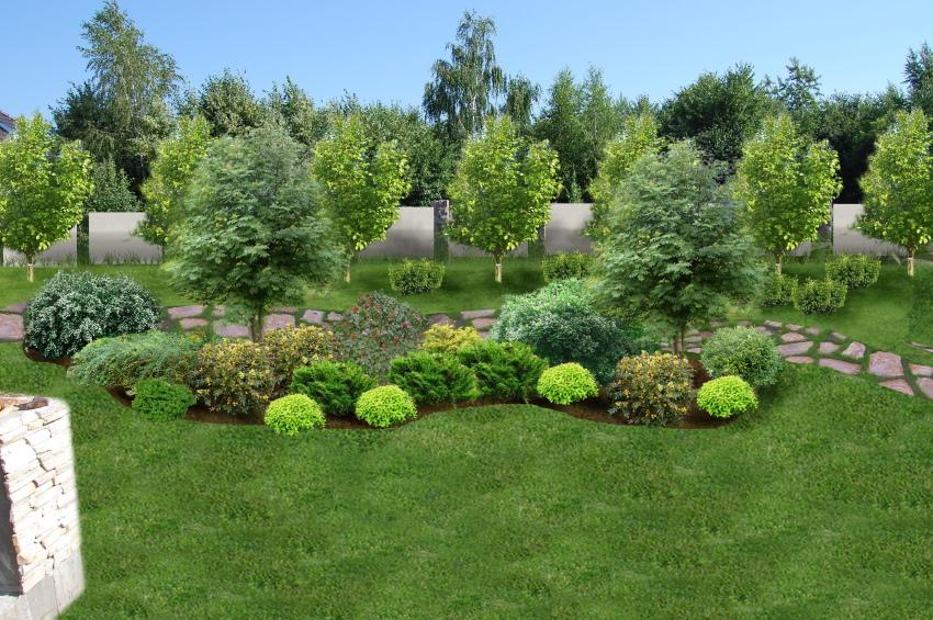 comment planter des plantes dans le jardin