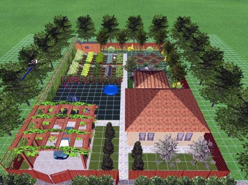 comment organiser correctement un jardin