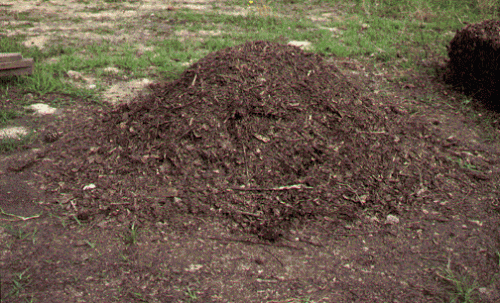 compost