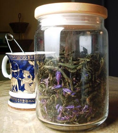 Menta seca para té