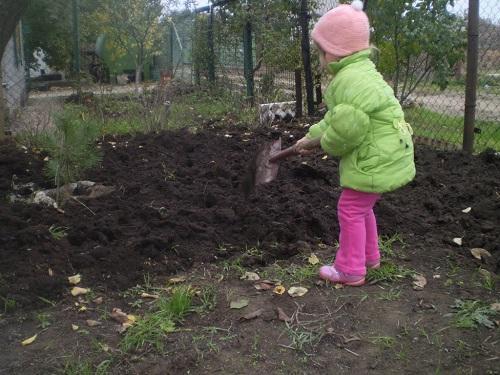 cavando un jardín