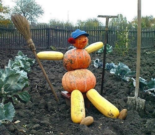 potager creusé