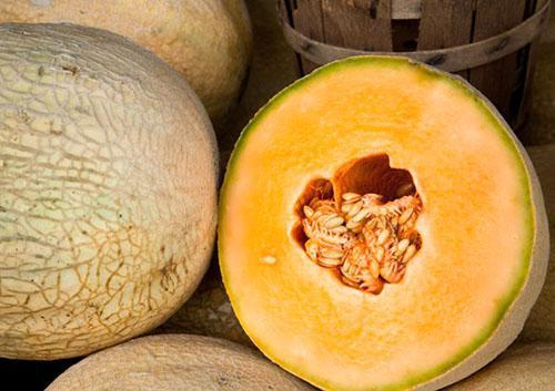 Pour la congélation, choisissez un melon aromatique sucré.