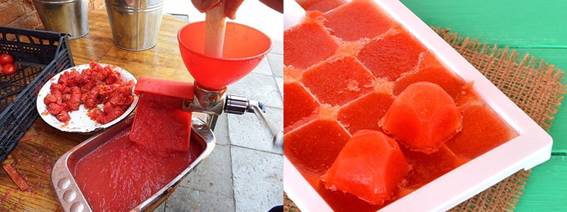 congelar puré de tomate