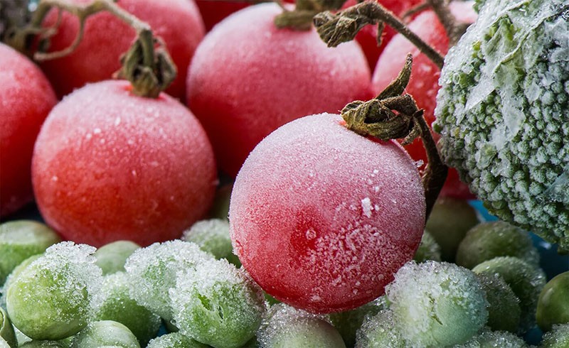 frutas de tomate enteras congeladas
