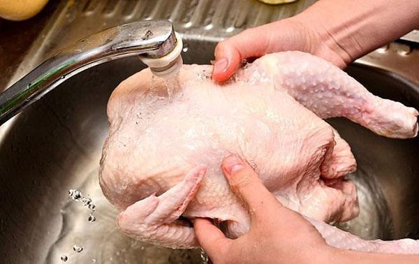 lavar el pollo