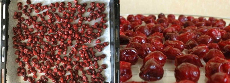 Secar las cerezas en bandejas para hornear en el horno.