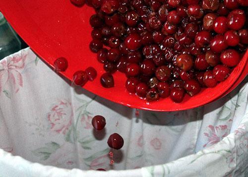 rincer les cerises