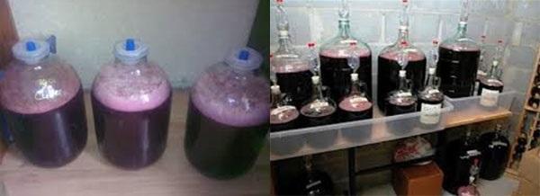 proceso de fermentación del vino de cereza