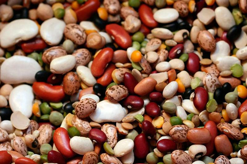 tipos de frijoles
