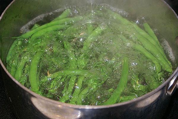 faire bouillir les haricots verts