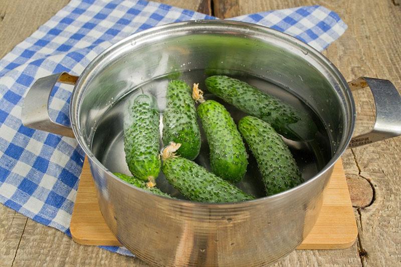 remojar los pepinillos en agua