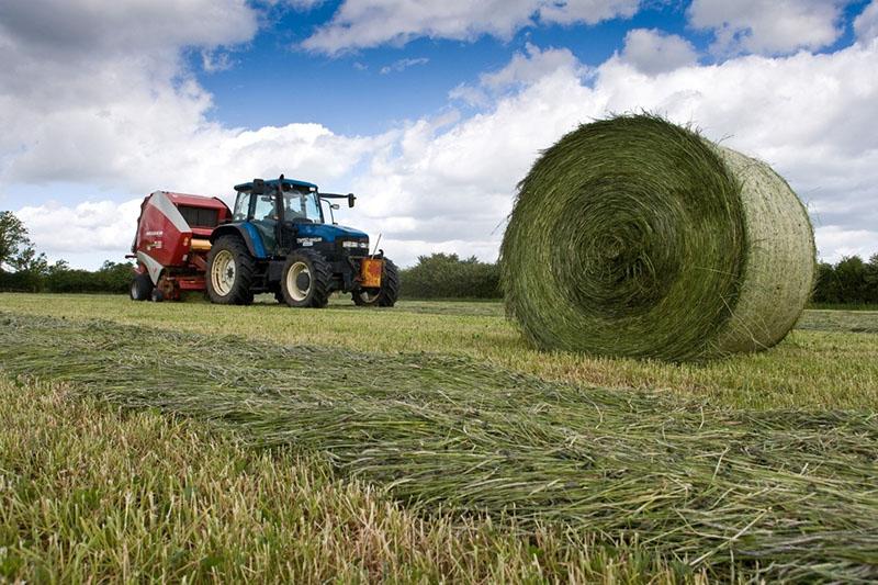 comment faire du foin à la maison