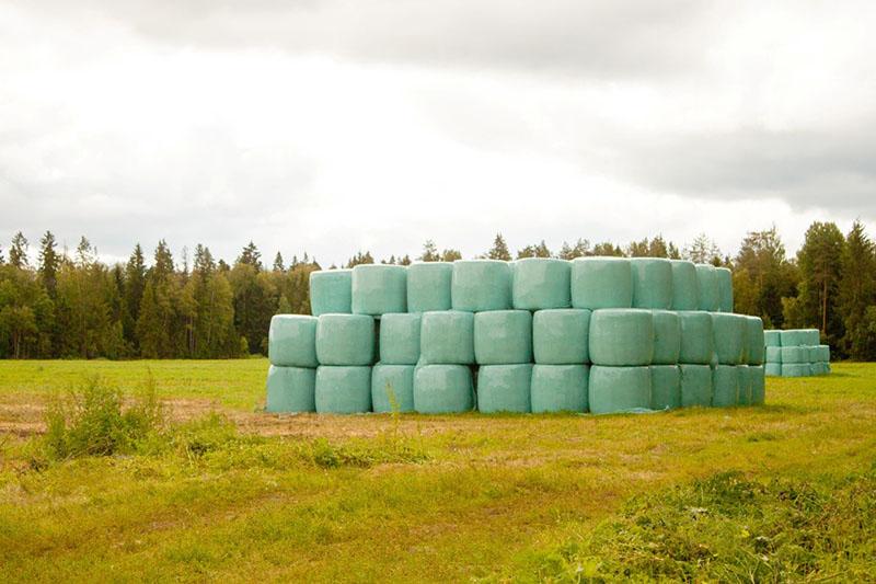 stockage de rouleaux