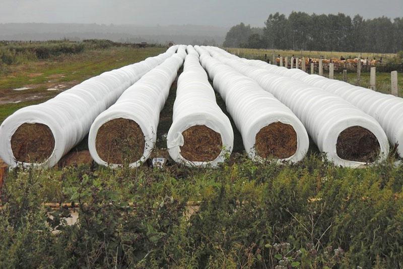 ensilage dans les manches pour les fermes