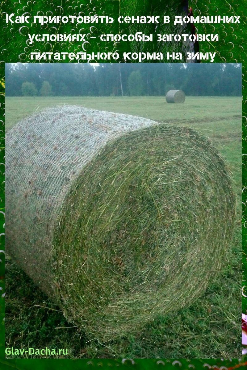 comment faire du foin à la maison