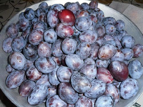 ciruelas pasas