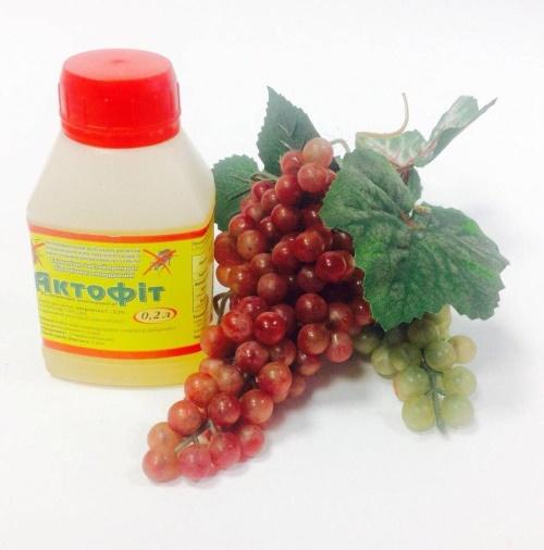 actofit para uvas