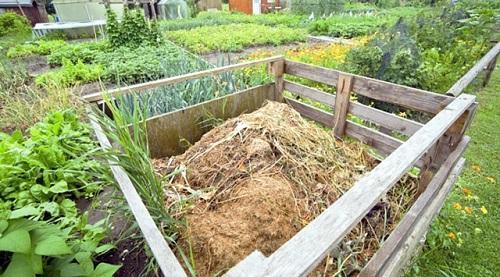 compost de sciure de bois