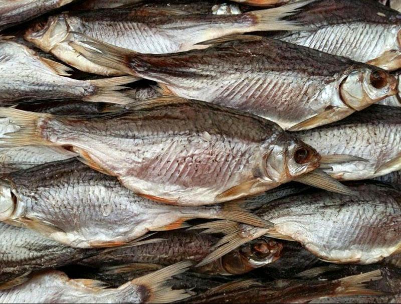 poisson séché