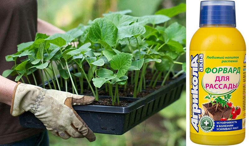 engrais agriculture vegeta pour semis