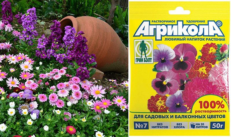 agriculture pour plantes à fleurs dans le jardin