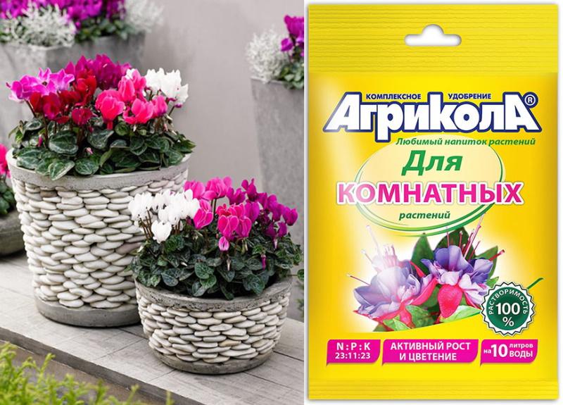 Top dressing universel pour pots de fleurs