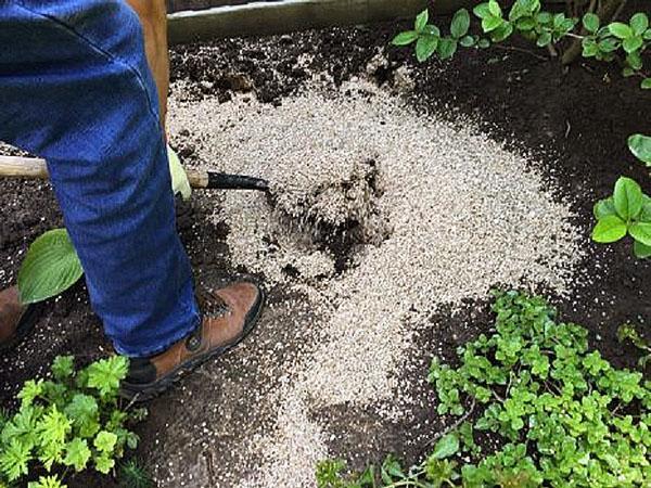 vermiculite dans le jardin