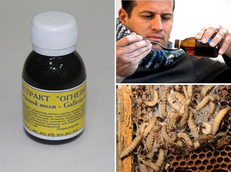 cómo tomar tintura de polilla de abeja