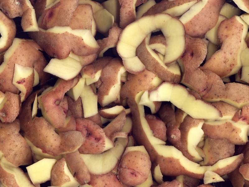 ¿Es posible alimentar a los pollos con patatas crudas?