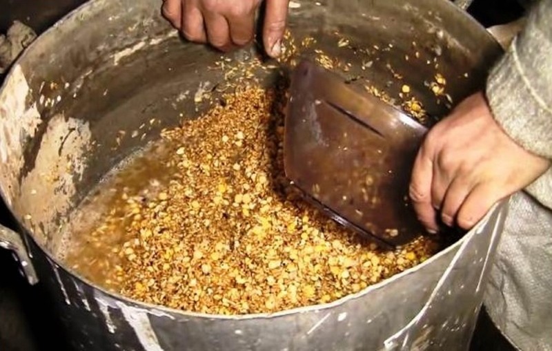 cómo dar patatas a las gallinas