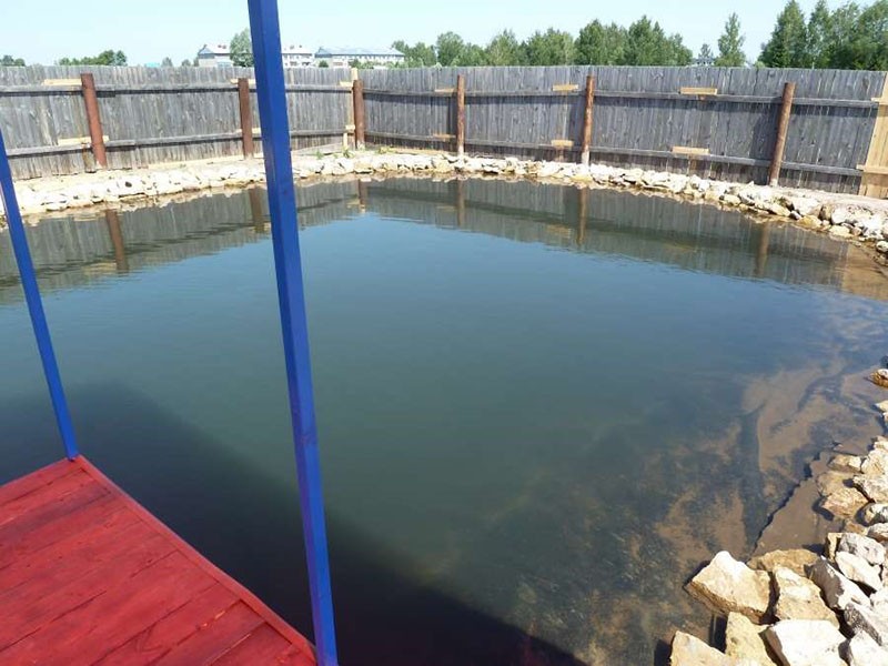 piscina de cría de cangrejos de río
