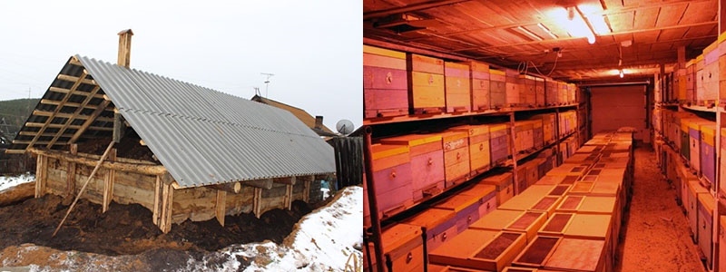 omshanik aérien pour les abeilles